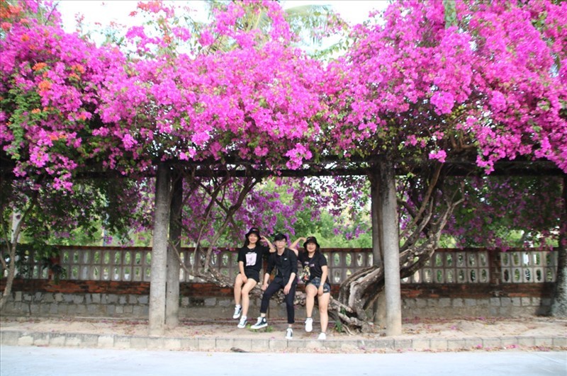 upload/tour/7hr2t_lang-phong-quy-hoa-trai-phong-quy-hoa-quy-nhon-hotel-12.jpg
